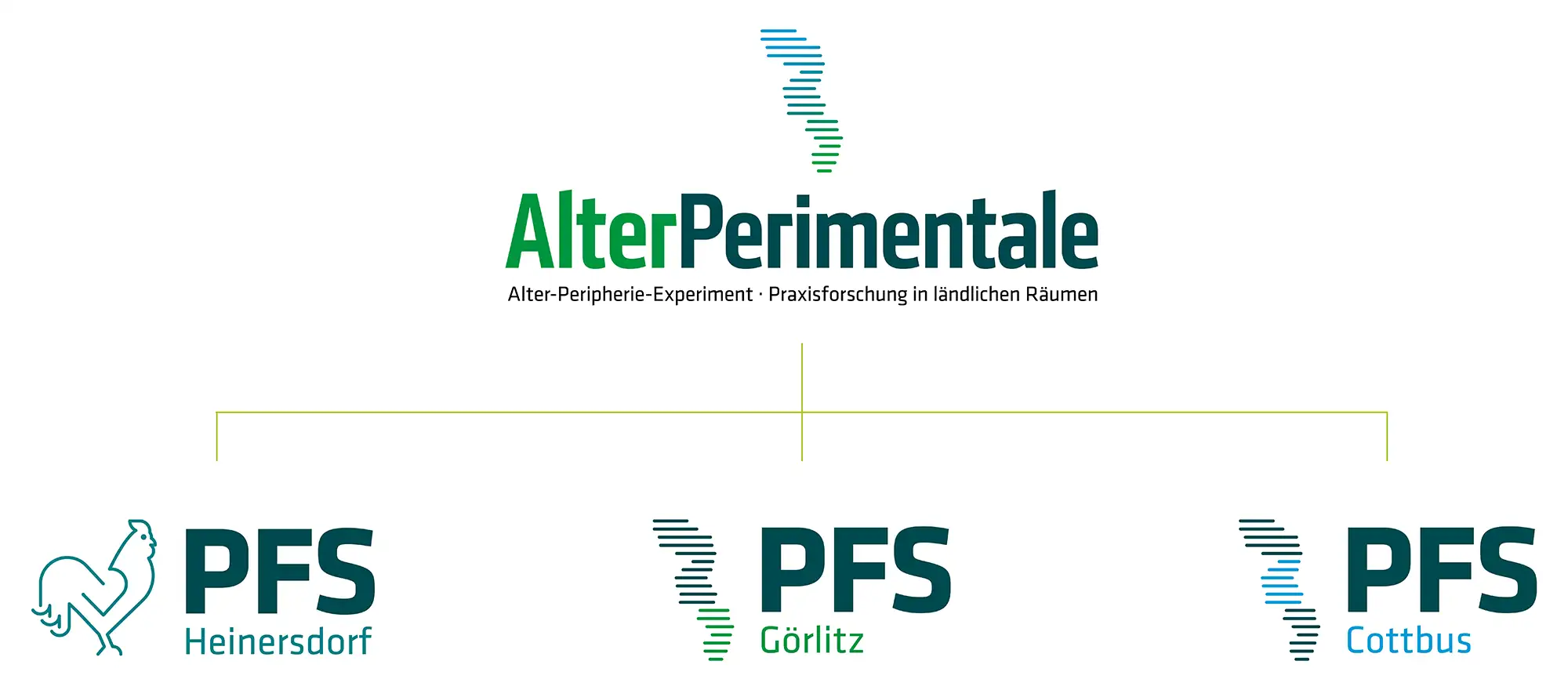 Skizze der Dachmarkenstruktur: Unter dem Dach "AlterPerimentale" handeln die Praxisforschungsstellen (PFS) Heinersdorf, Cottbus und Görlitz eigenständig.